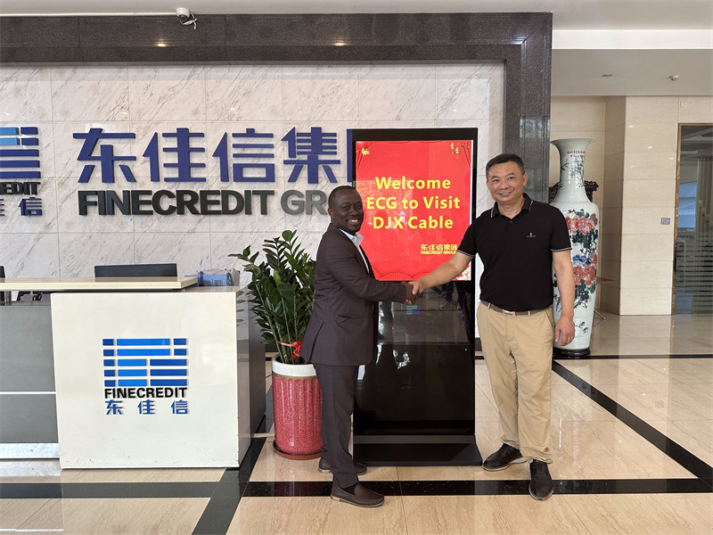 電源ケーブル,制御ケーブル,ビルディングワイヤ,Dongjiaxin,DJXケーブル,中国ケーブル工場,中国電力用ケーブルメーカー, const