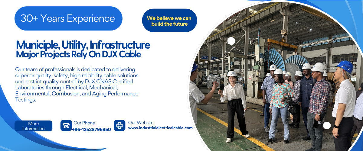 中国 最もよい 光起電ケーブル 販売