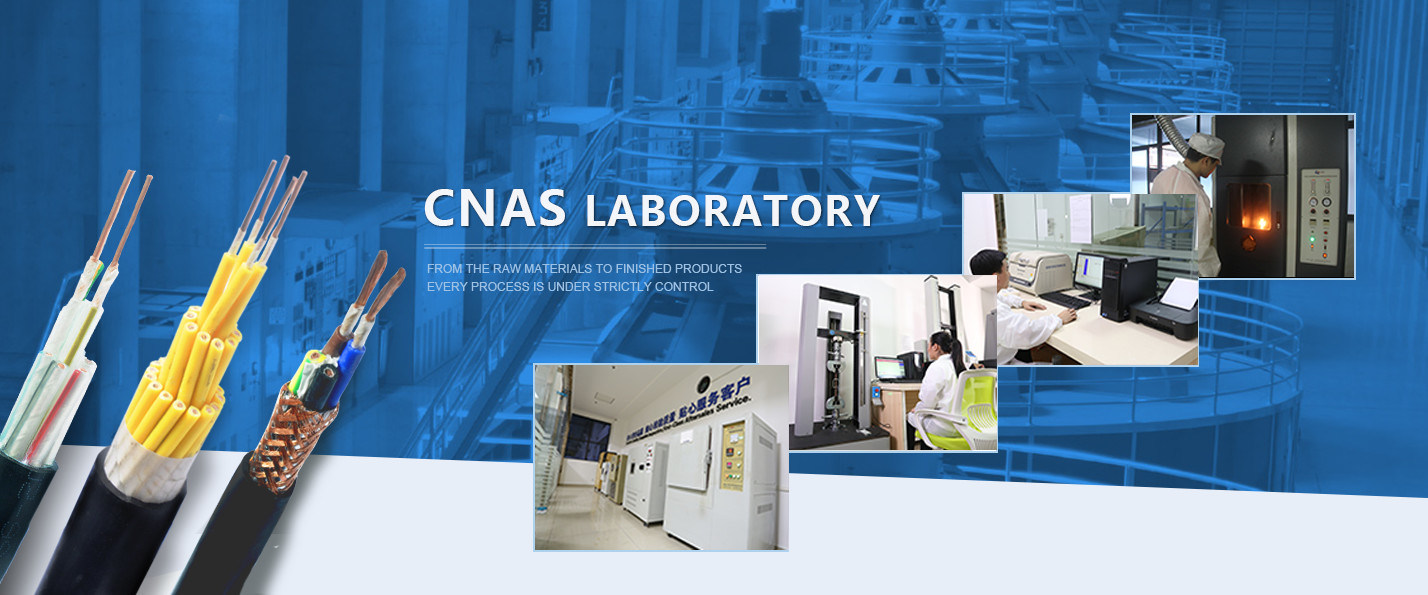 中国 最もよい 中型の電圧送電線 販売